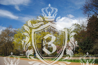 The Hyde NW9 domestic removals The Hyde NW9 domestic removals